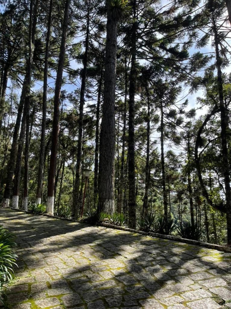 Hotel Colonia De Ferias Sdas Campos do Jordão